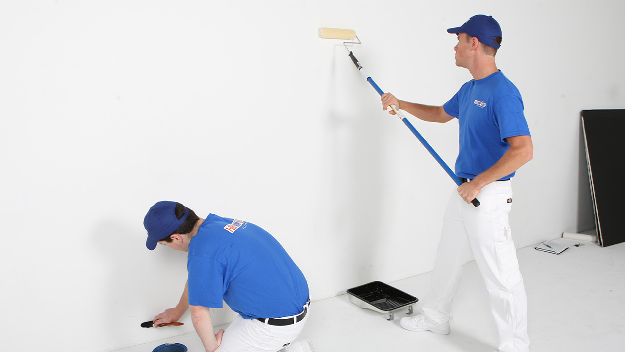 Ezine Boya Badanacı